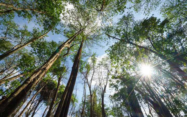 Papouasie-Nouvelle-Guinée (Port Moresby)