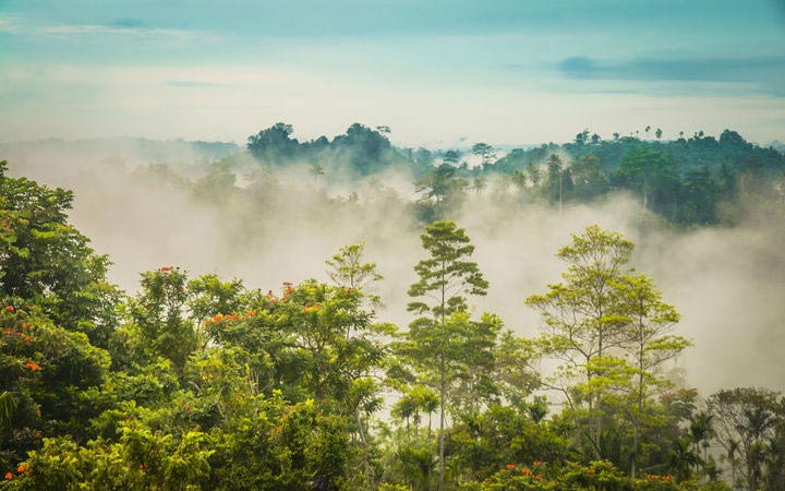 Papouasie-Nouvelle-Guinée (Port Moresby)