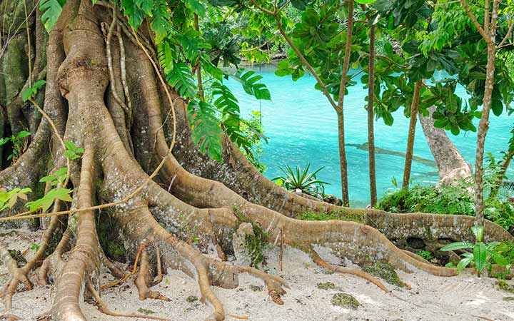 Vanuatu (Port Vila)