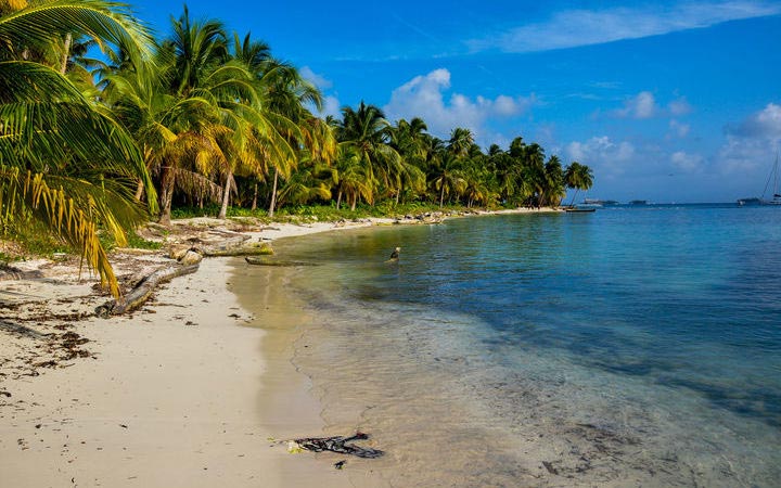 Brésil (Porto Belo)