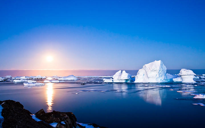 Antarctique (Ile Pourquoi-Pas)