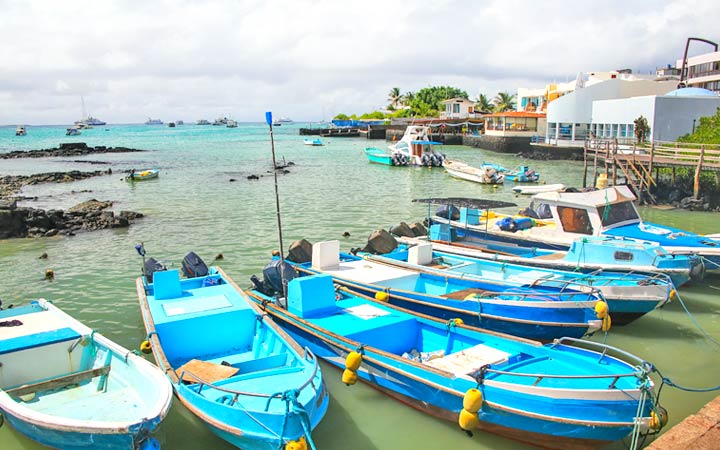 Iles Galapagos (Puerto Ayora)