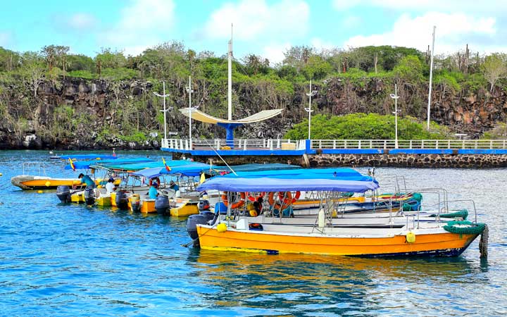Iles Galapagos (Puerto Ayora)