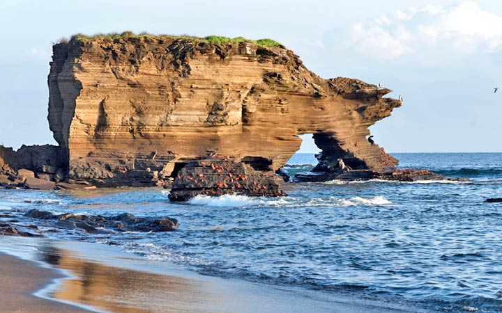 Iles Galapagos (Puerto Egas)