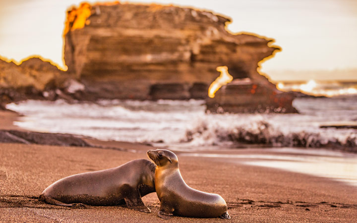 Iles Galapagos (Puerto Egas)