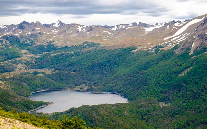Chili (Puerto Toro, Puerto Williams)