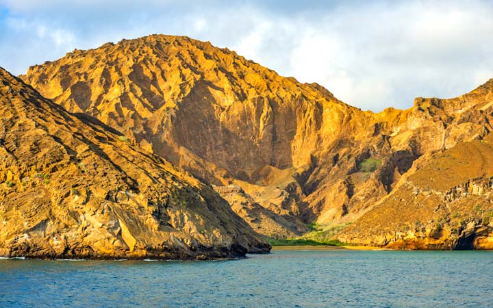 Iles Galapagos (Punta Pitt)