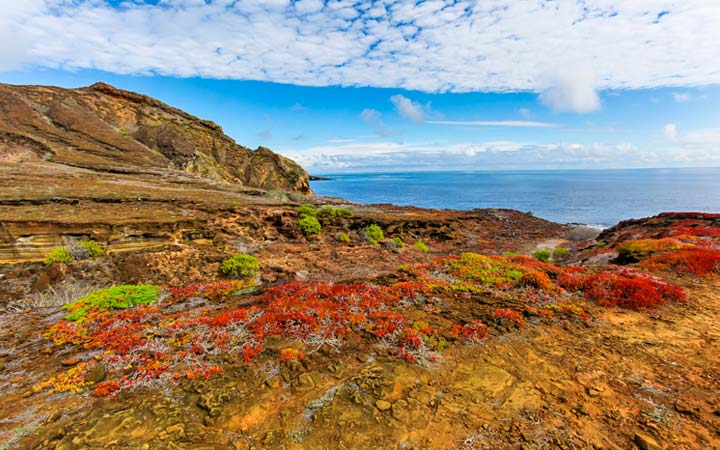 Iles Galapagos (Punta Pitt)
