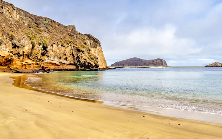 Iles Galapagos (Punta Pitt)