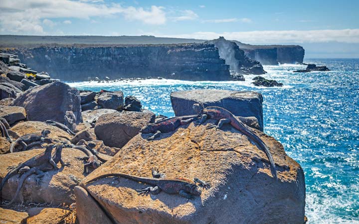 Iles Galapagos (Punta Suarez)