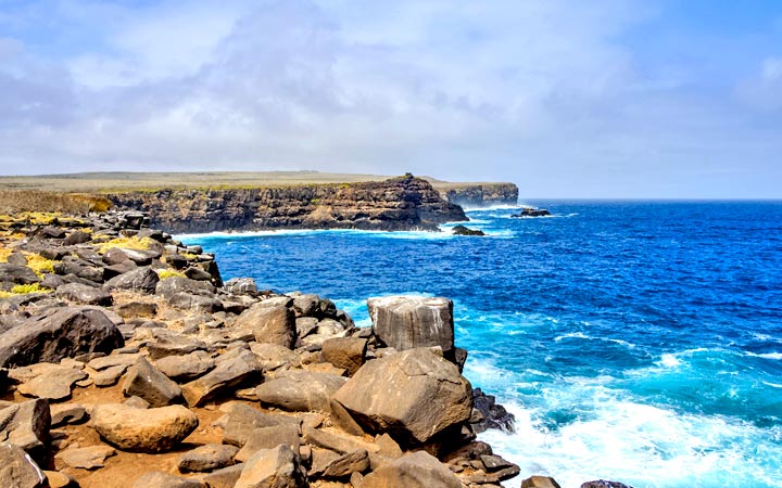 Iles Galapagos (Punta Suarez)