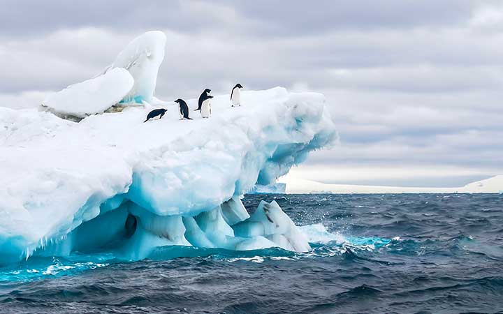 Escale Péninsule Antarctique