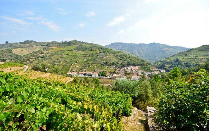 Regua - Porto Antico (Portugal)