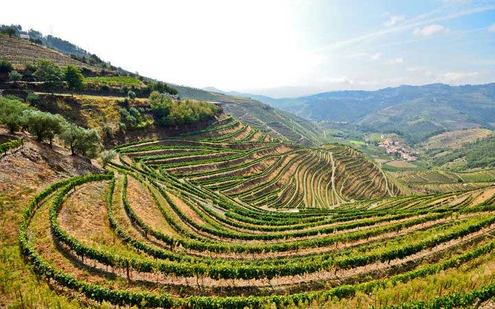 Regua - Porto Antico (Portugal)