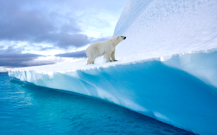 Groenland (Rodefjord)