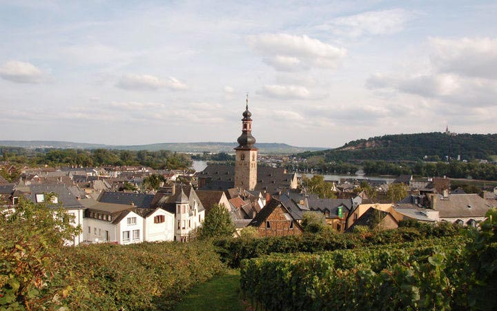 RÜDESHEIM - SPIRE ou MANNHEIM