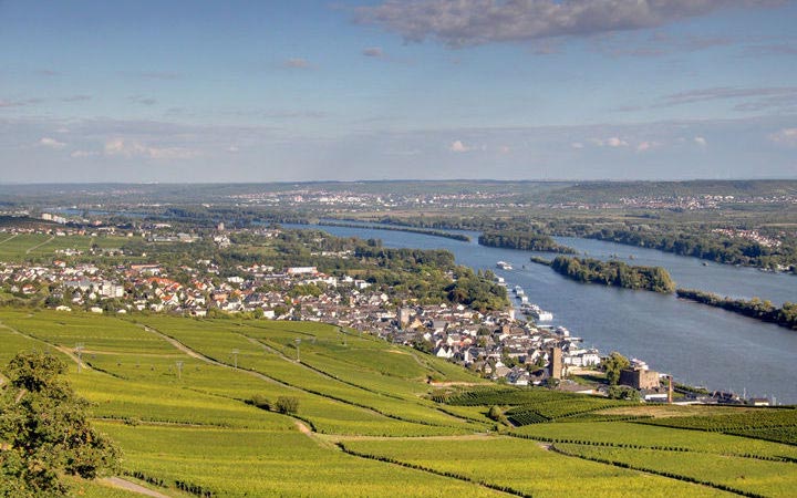 RÜDESHEIM - SPIRE ou MANNHEIM