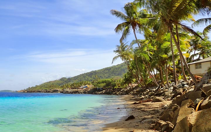 Costa Rica (Réserve de Curu)