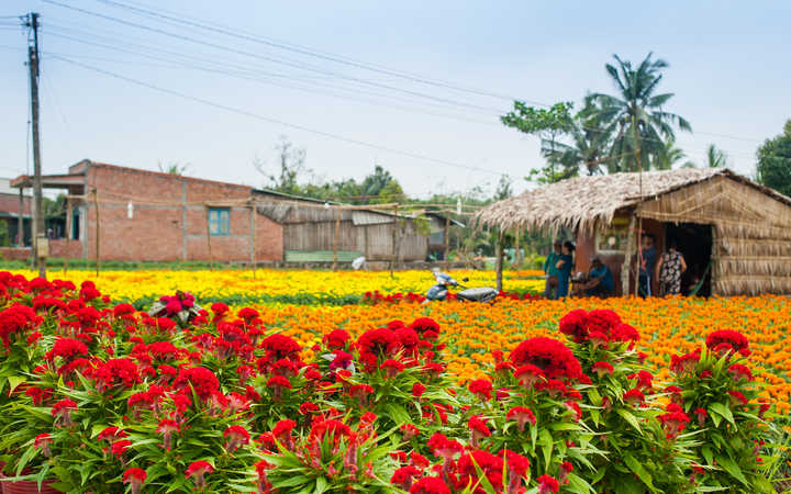 SA DEC - CHAU DOC