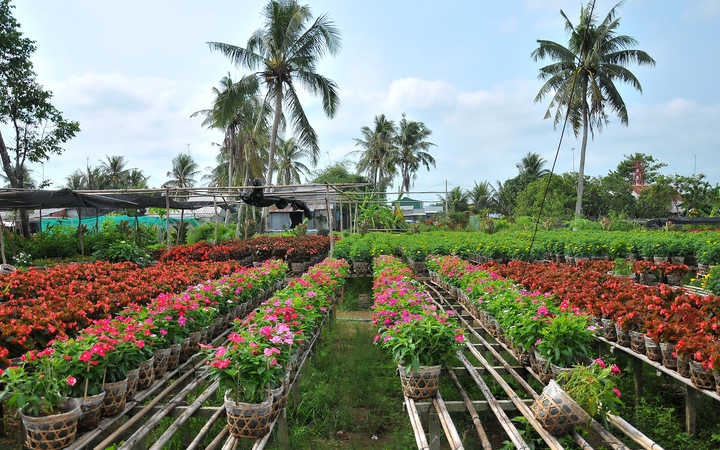 SA DEC - CHAU DOC