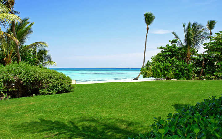 Antilles (St Martin)