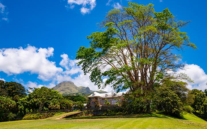 Martinique (Saint-Pierre)