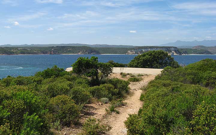 Corse (Sant' Amanza)