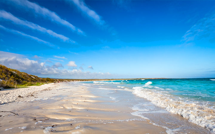 Iles Galapagos (Santa Cruz)