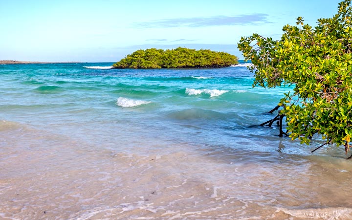 Iles Galapagos (Santa Cruz)