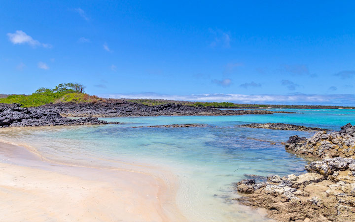 Iles Galapagos (Santa Cruz)