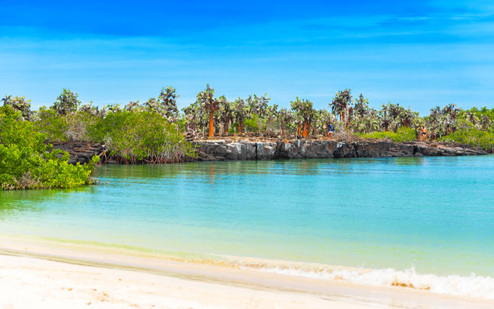 Iles Galapagos (Santa Cruz)