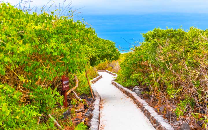 Iles Galapagos (Santa Cruz)