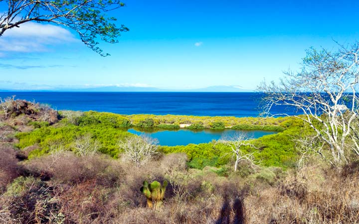 Iles Galapagos (Santiago)