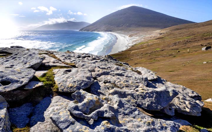 Iles Malouines (Saunders)