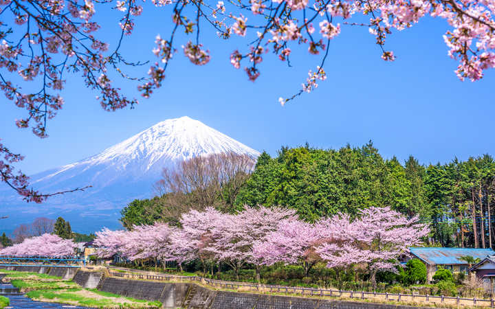 Japon (Shimizu-Shizuoka)