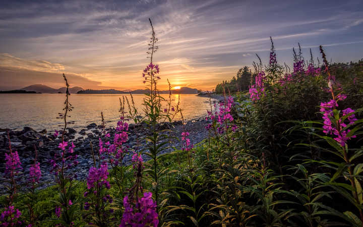 Alaska (Sitka)