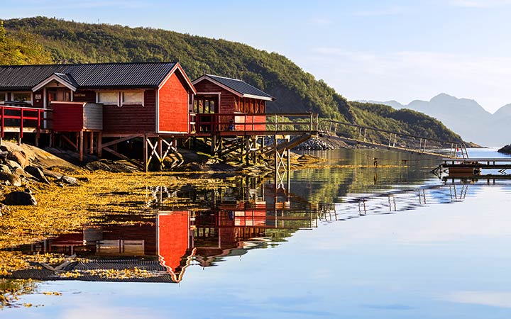 Norvège (Skjervoy)