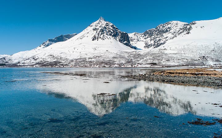 Norvège (Skjervoy)