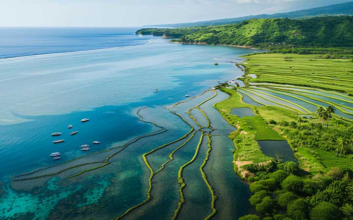 Indonésie (Sumbawa)