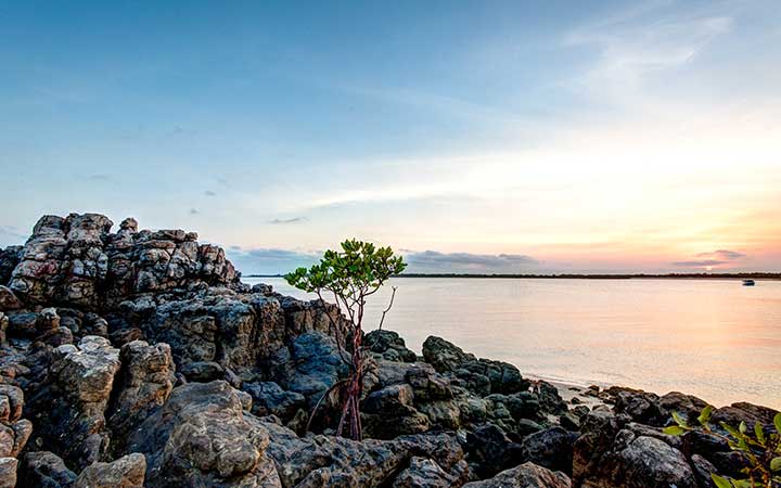 Australie (Swift Bay)