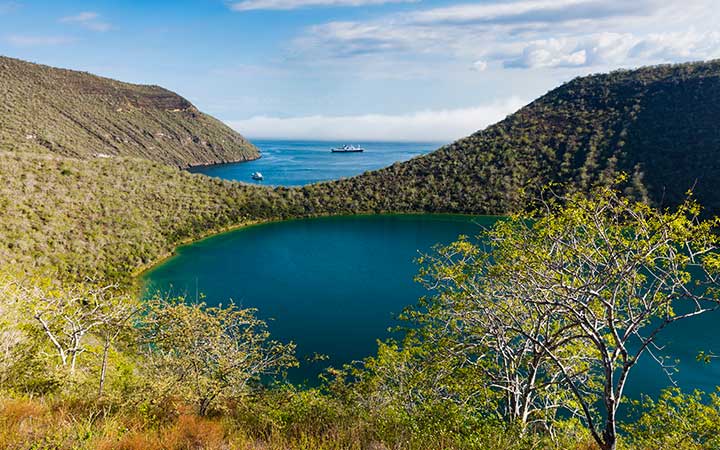 Equateur (Tagus Cove)