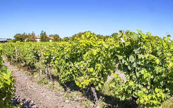 France (Talmont-sur-Gironde)