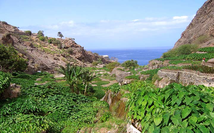 Cap Vert (Ile Sao Nicolau)