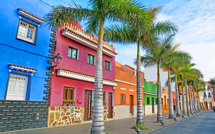 Iles Canaries (Tenerife)