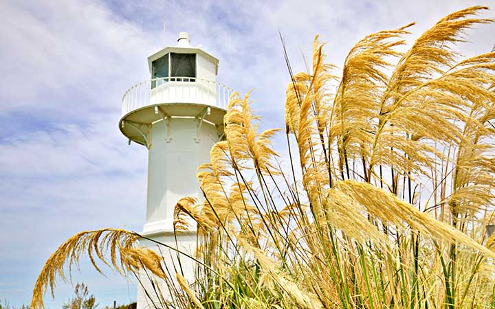 Nouvelle-Zélande (Timaru)