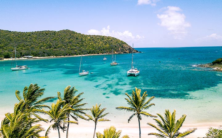 St Vincent et les Grenadines (Tobago Cays)