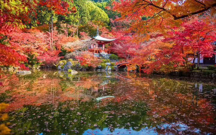 Tokyo (Japon)