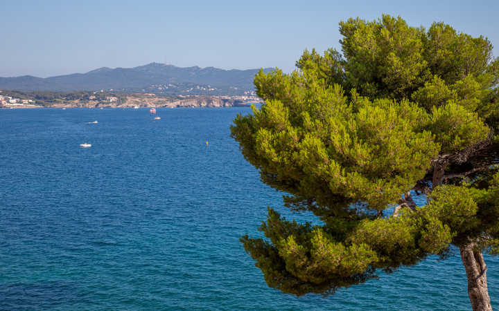 Escale Toulon (La Seyne sur Mer)