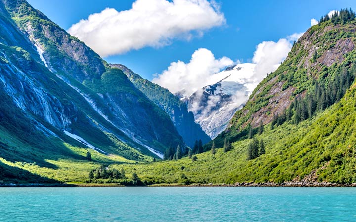 Alaska (Tracy Arm Fjord)