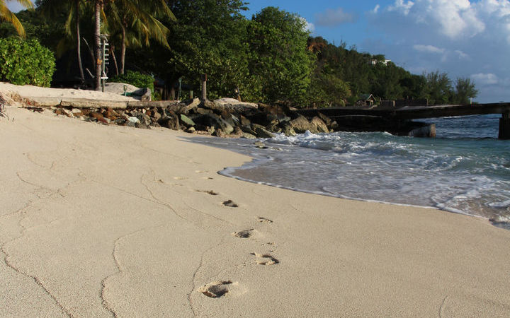 St Vincent et les Grenadines (Union)